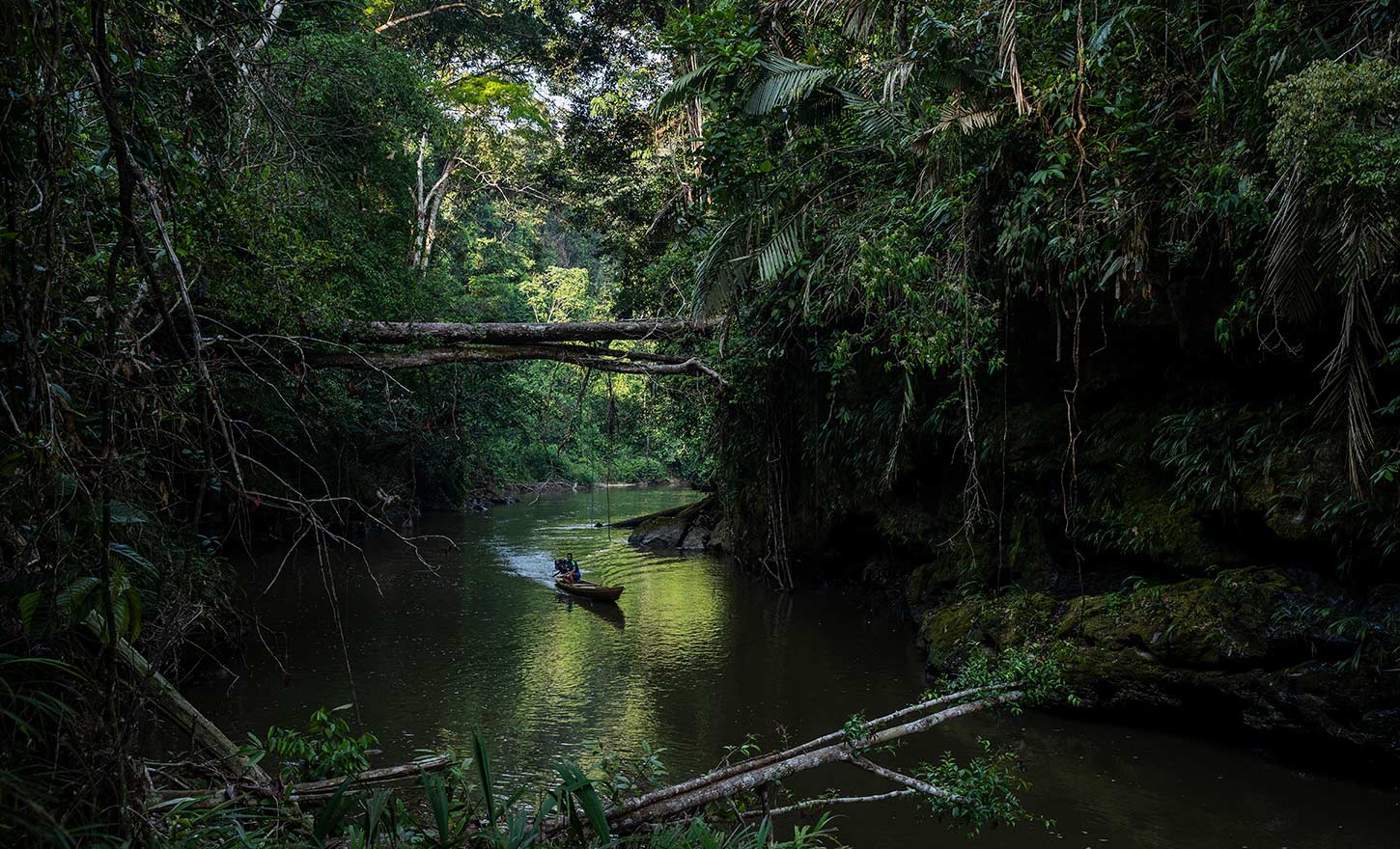 Brasil Amazonas