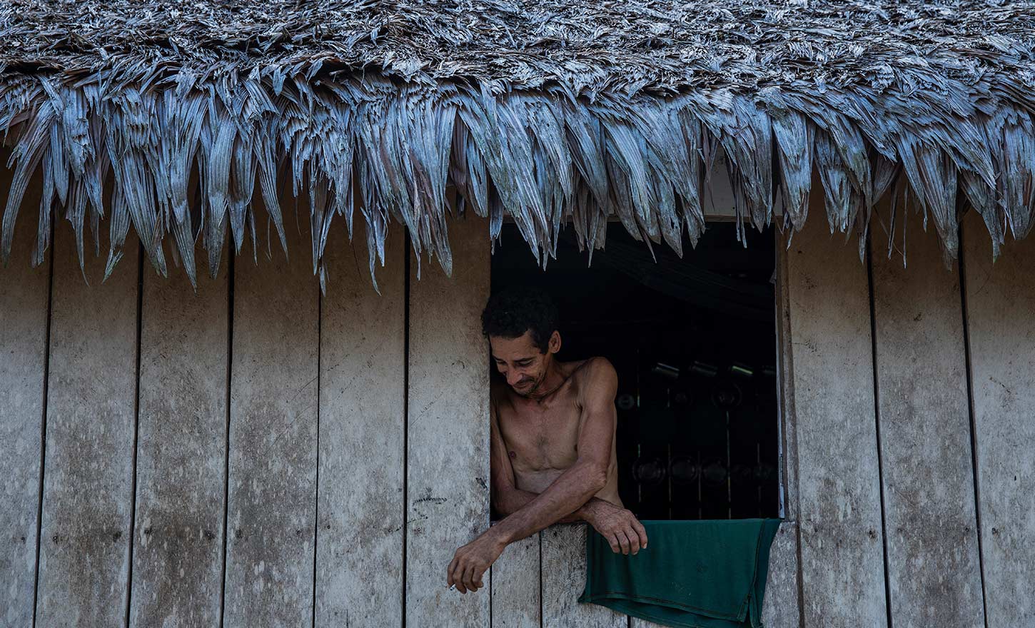 Brasil Amazonas
