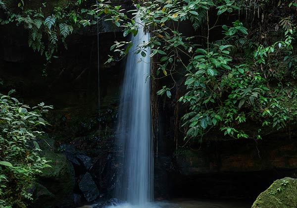 Serra do Divisor National Park