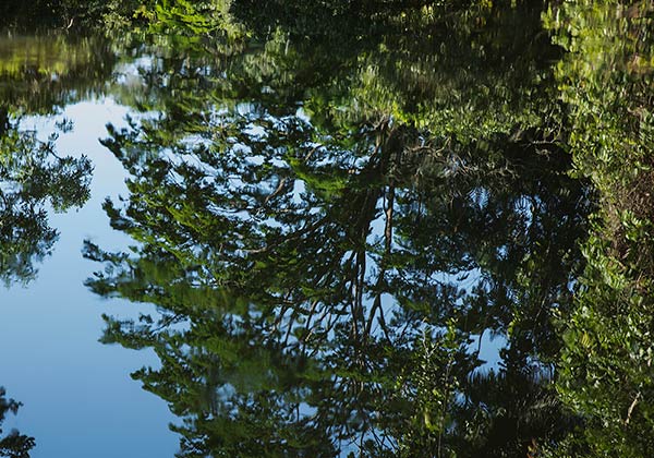Serra do Divisor National Park